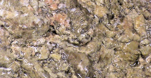 Dendritic chalcedony jasper - dendritic,